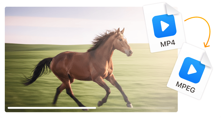 DVD刻录的完美选择