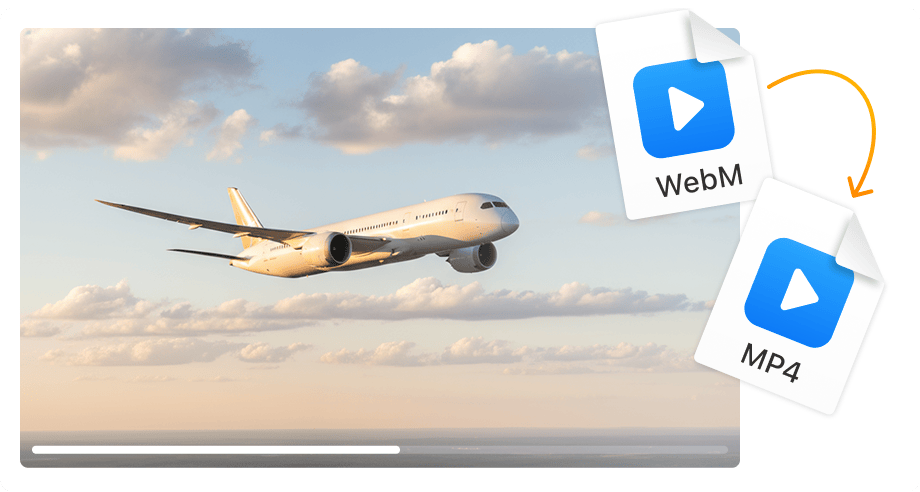 在任何设备上播放